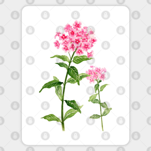 July 14th birthday flower Sticker by birthflower